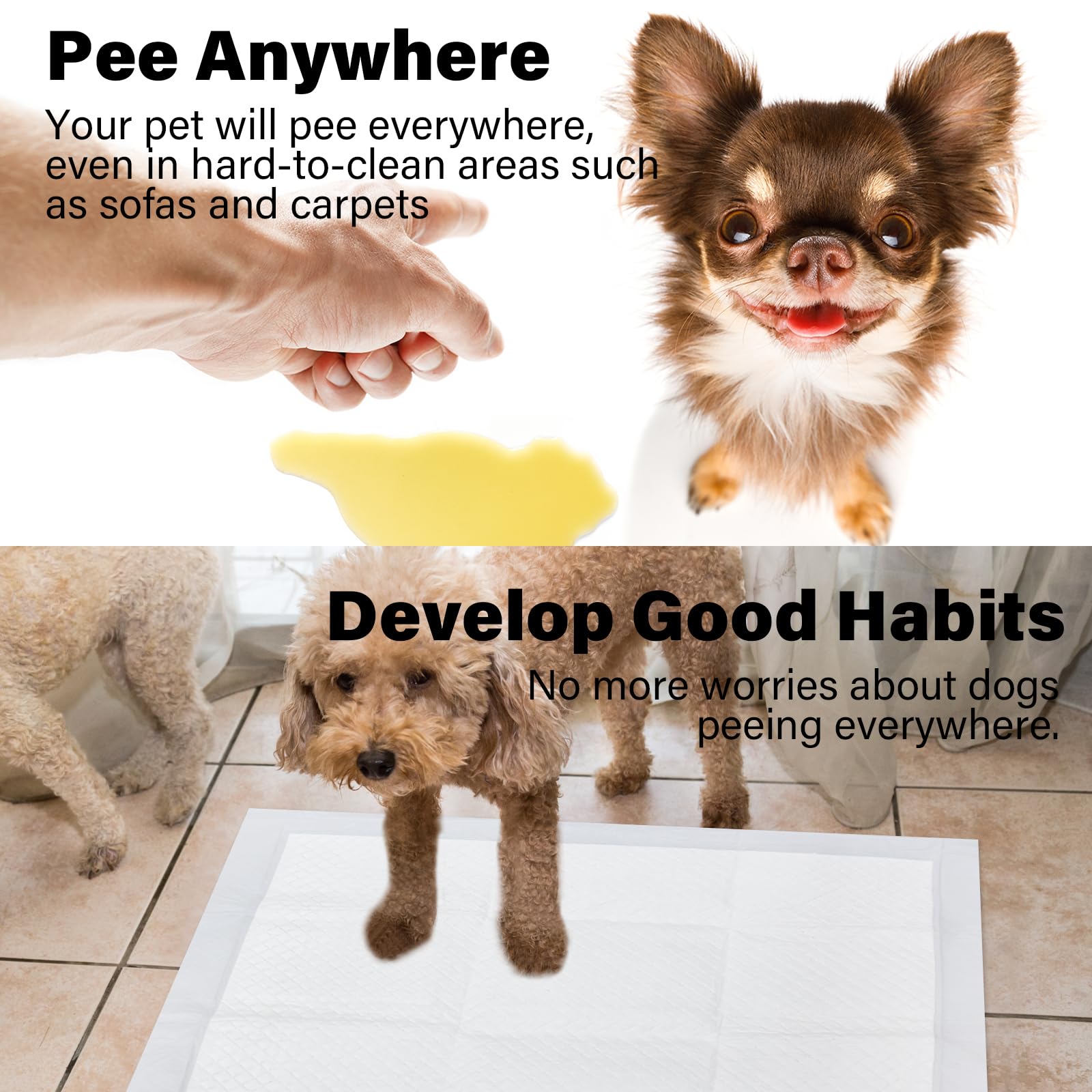 Basics - Almohadillas para orina para perros y cachorros con diseño de 4 capas a prueba de fugas y de secado rápido para entrenamiento de orinal, almohadillas cambiadoras desechables ultra