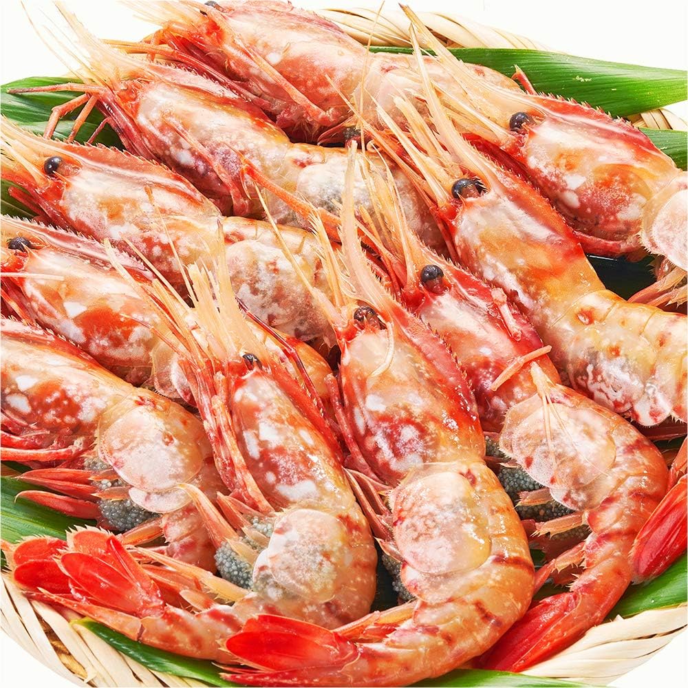 Amazon 特大18cm 刺身用 子持ち ボタンエビ 生食用 ボタン海老 エビ 海老 牡丹海老 500ｇ 9尾 A ｚ キッチン エビ 通販