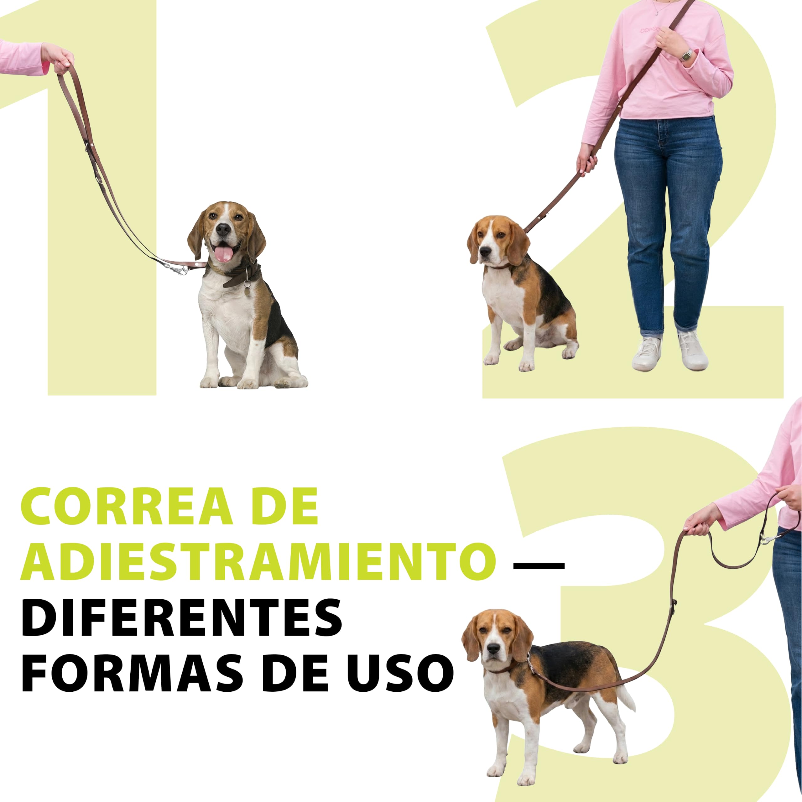Ferplast 75142958 Correa para El Adiestramiento de Perros VIP Ga18/200, Robusto Cuero de Toro, Longitud Regulable, 18 Mm x L 120 x 200 Cm Marrón
