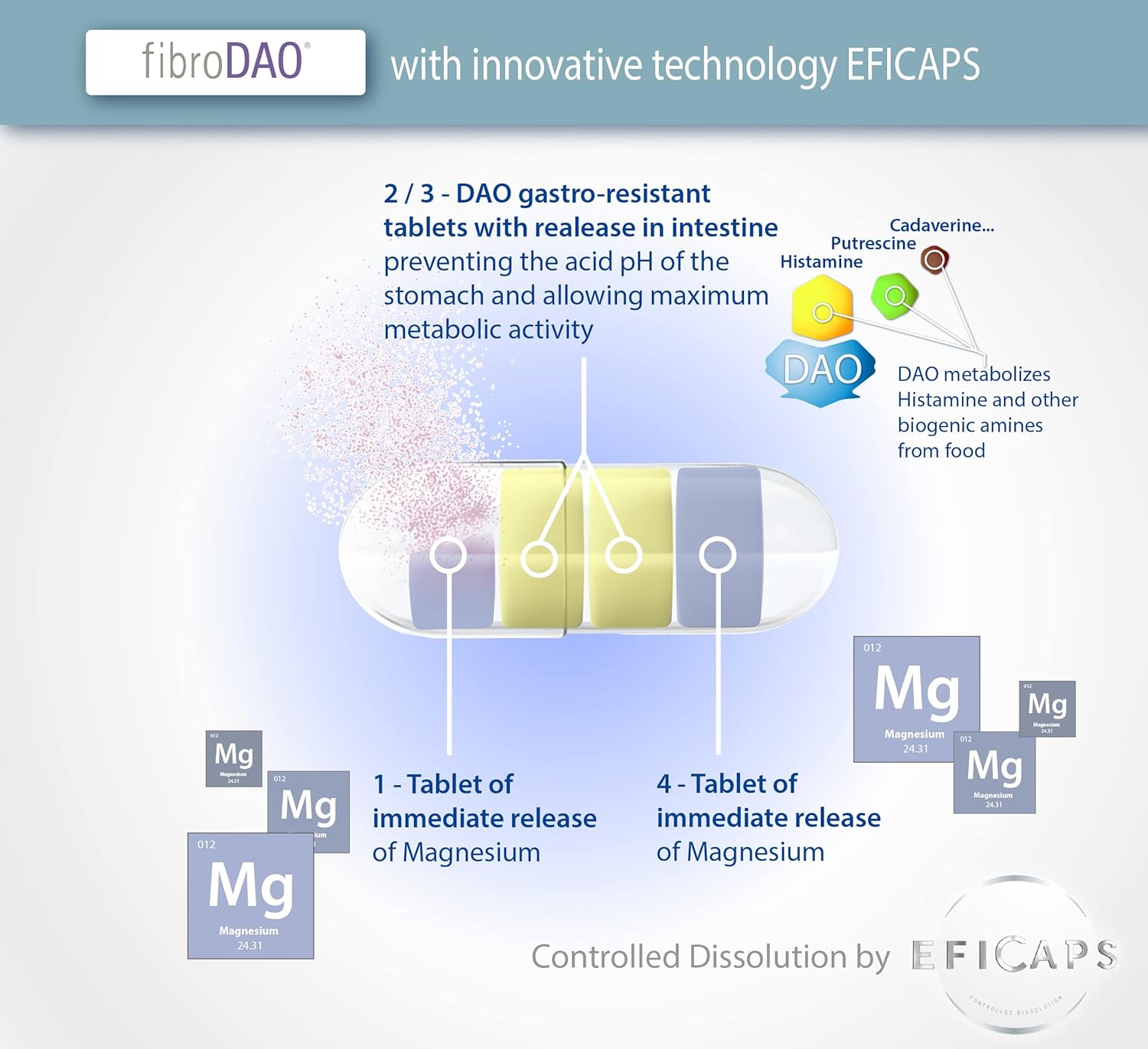 fibroDAO, for The Dietary Management of Fibromyalgia Caused by DAO Deficiency/Histamine Intolerance - Image 4