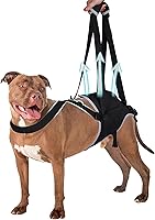 Vista 1 de Arnés ajustable para perros grandes, soporte de pierna trasera, soporte ajustable para perros grandes, patas traseras, cadera y pierna trasera