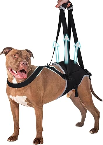 Arnés ajustable para perros grandes, soporte de pierna trasera, soporte ajustable para perros grandes, patas traseras, cadera y pierna trasera,