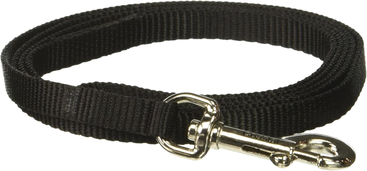 Coastal Pet Products DCP304Black Nylon Collar Lead for Pets, 3/8-Inch by 4-Feet, Black