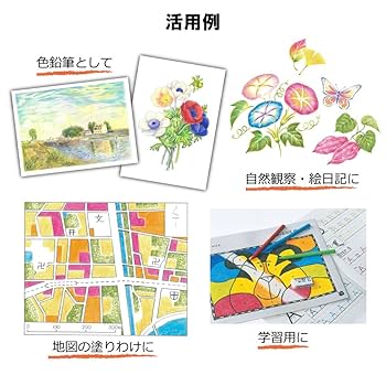 Amazon | サクラクレパス 色鉛筆 クーピー やまぶき色 10本 JFY