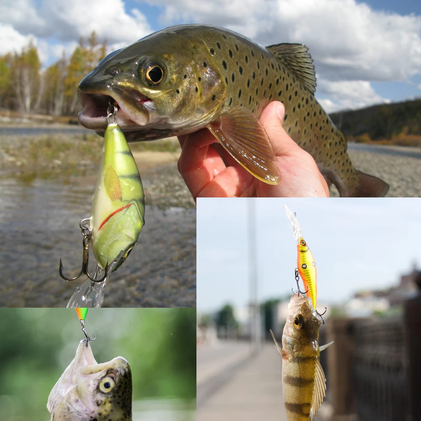 30 Ami Da Pesca Baitholder Con Terminale In Acciaio: Per Acqua Salata, Girevoli, 40.8kg Test - 3