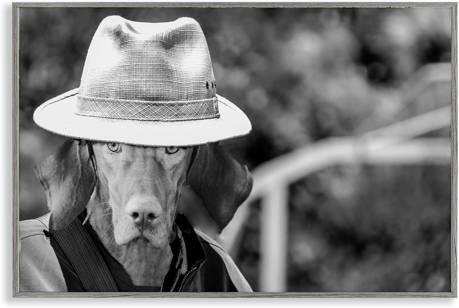 Stupell Industries Country Cowboy Dog Framed Giclee Art Design by Sd Graphics Studio