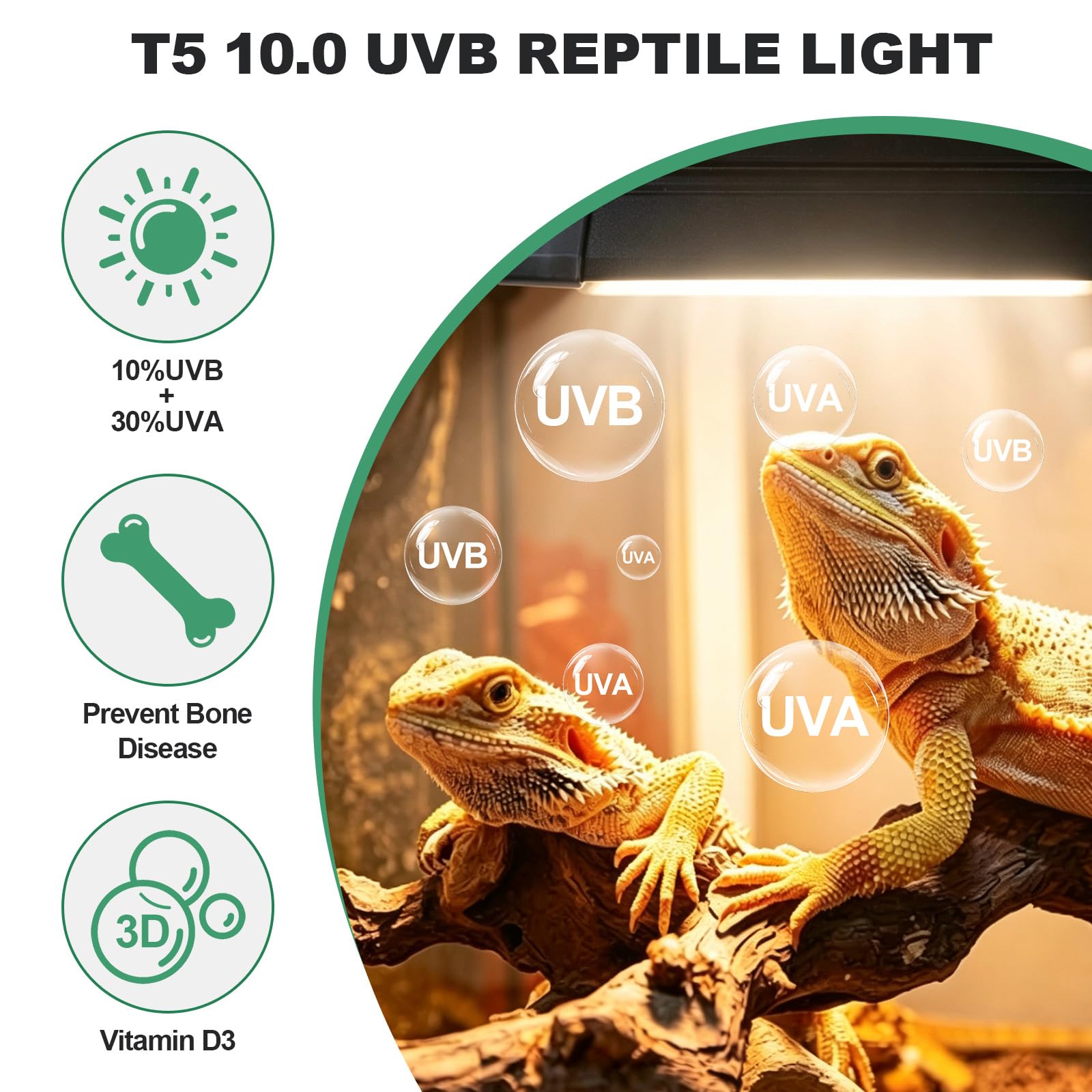 CPROSP 24W Kit di Illuminazione UVB T5 HO per rettili tropicali e desertici