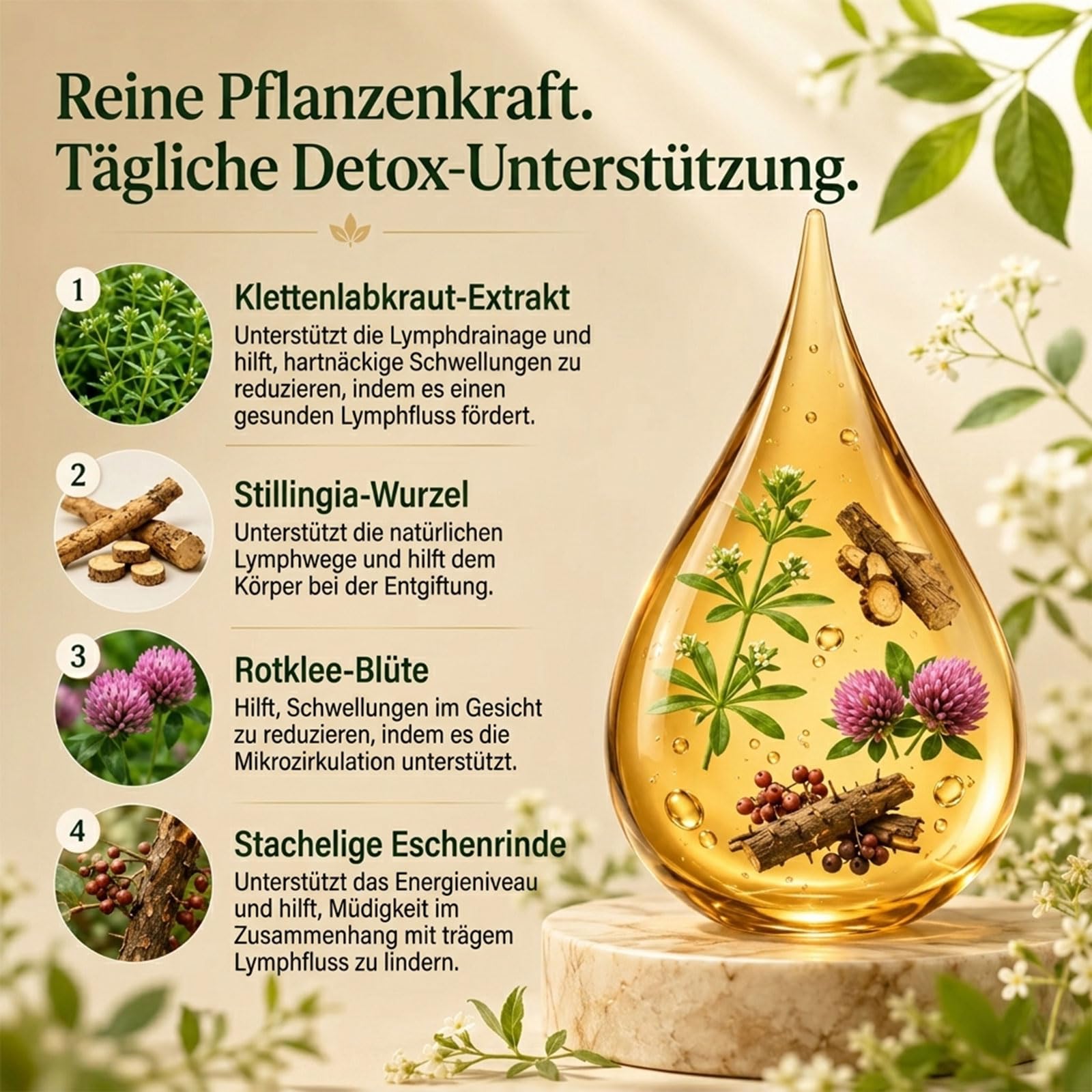 Zynea Lymphdrainage Tropfen, 2026 Neu Lymphatic Drainage Tropfen, Unterstützung des Wasserhaushalts, Natürliche Inhaltsstoffe, für Männer und Frauen (2)