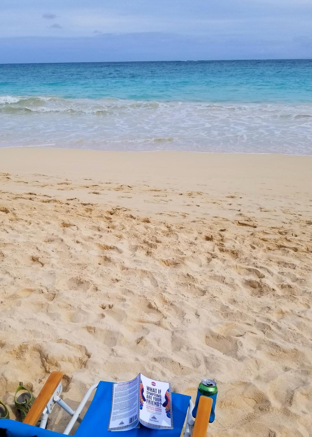 What if Symptoms Are Your Friend? An Introduction to BodyMind Bridge