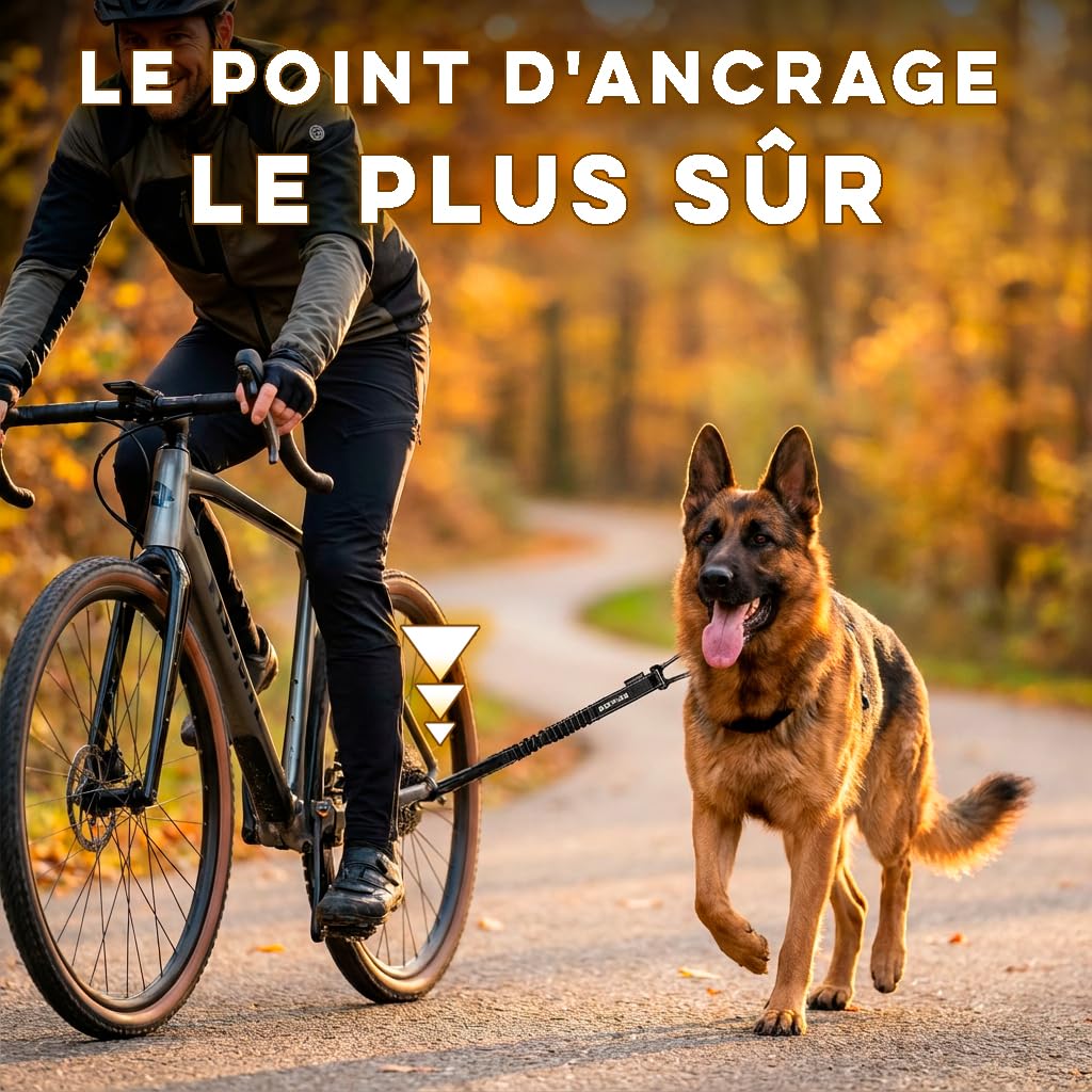 Laisse pour Chien à vélo, Installation sans Outils, Système breveté, Noir