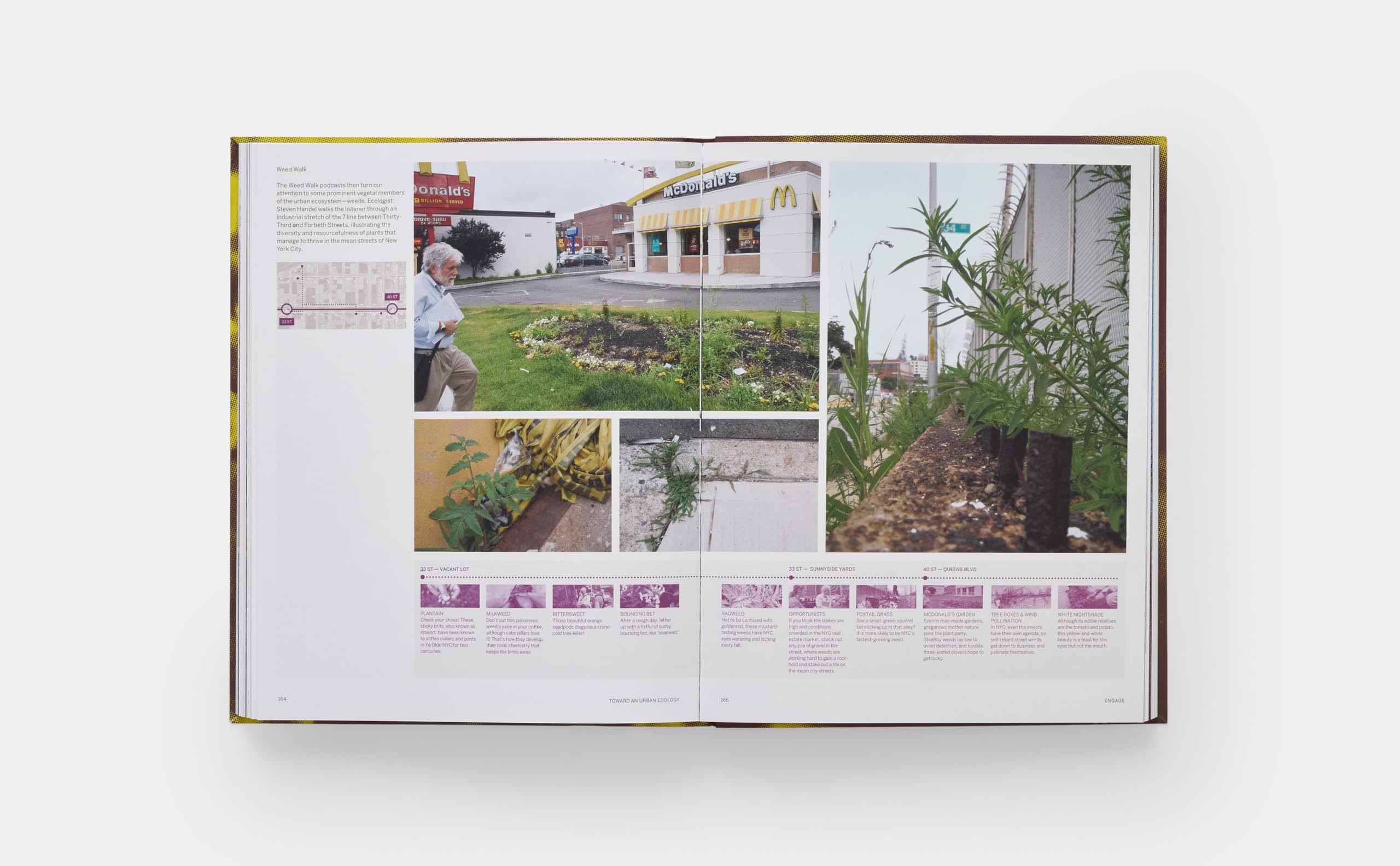 TOWARD AN URBAN ECOLOGY: SCAPE / LANDSCAPE ARCHITECTURE