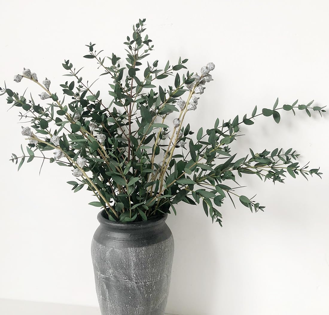 Preserved Eucalyptus Stems, 100% Natural Greenery Leaves, 22 " Real Eucalyptus Dried Plant Branches with Fruits Bouquet for Home,Wedding Décor,Gift