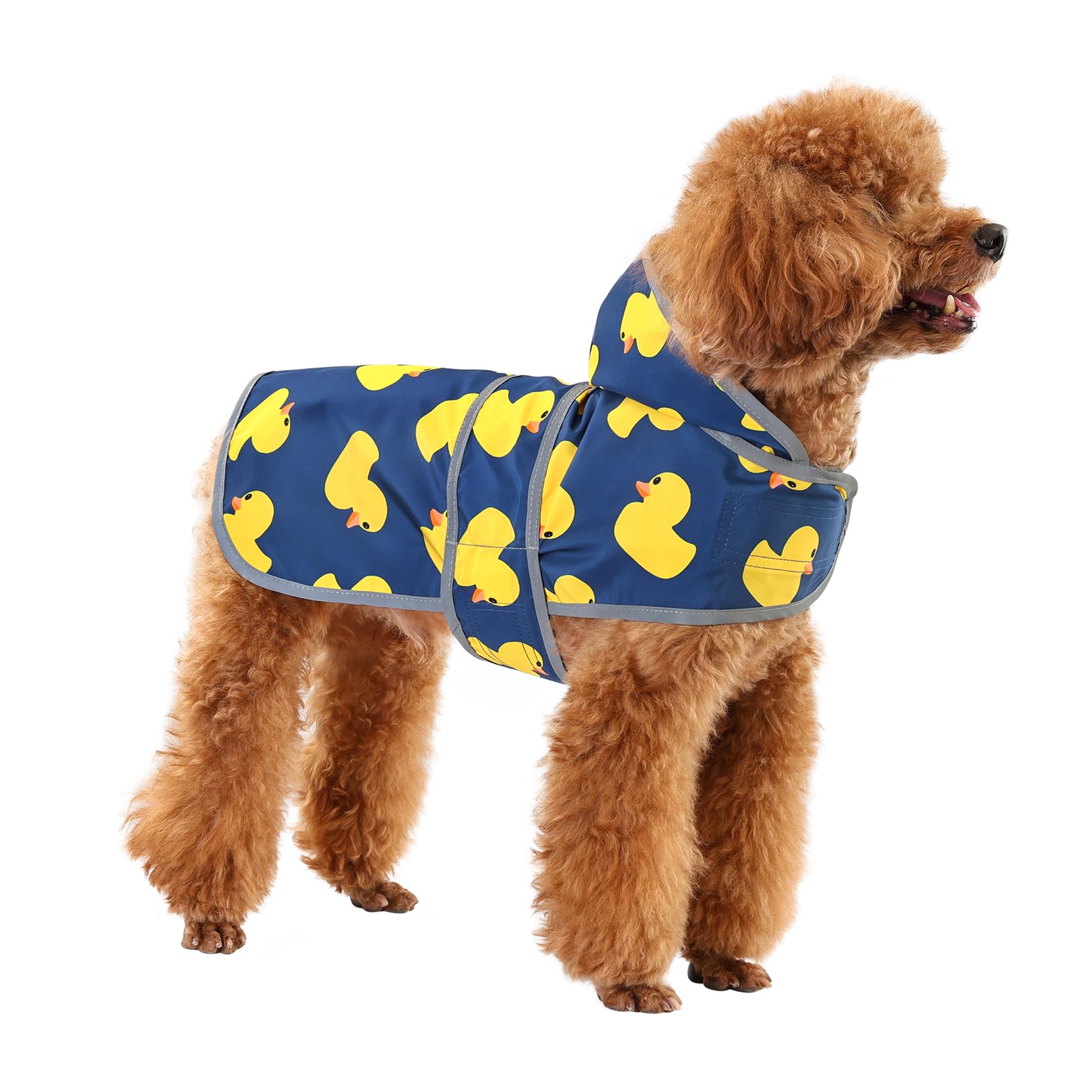 Impermeable Impermeable para Perro con Capucha y Agujero para Correa, para Perros y Cachorros pequeños, medianos y Grandes