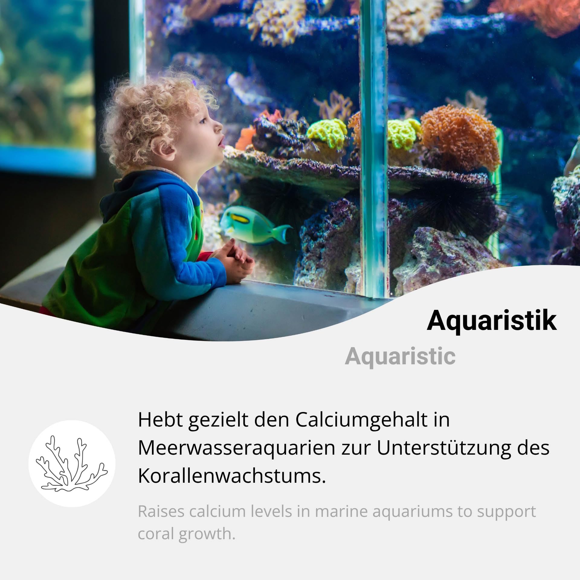 Calciumchlorid Dihydrat 3kg Lebensmittelqualität E509, hochreines Pulver (CaCl₂·2H₂O) – für Käseherstellung, Obst und Gemüse, Kosmetik, Aquaristik, Wasseraufbereitung