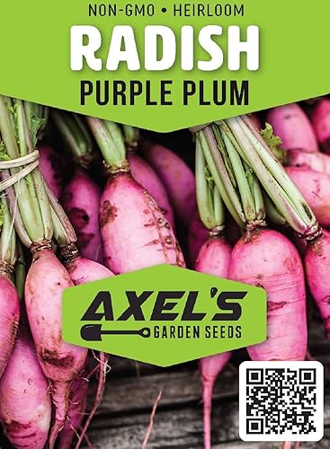 Miniatura 2 de Semillas de rábano para plantar  Semillas de vegetales tradicionales sin OMG  Paquetes completos de instrucciones para plantar en tu jardín al aire