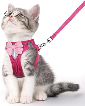 Cat Vest Harness and Leash Set for Walking Escape Proof, Adjustable Kitten Harness Breathable Mesh with Reflective Strips Harness for Kitty Puppy Bunny Pink,XS