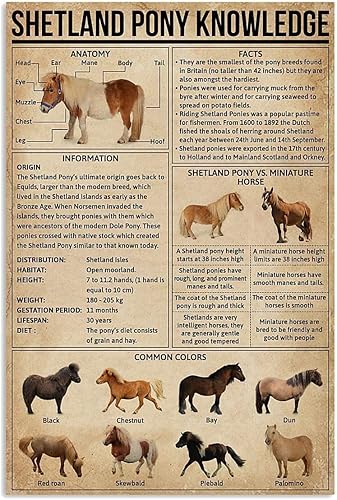 Miniatura 8 de Cartel de metal con texto en inglés «Carantulas» de «Care Knowledge», decoración de granja, piezas de taratulas, póster para el hogar, 8 x 12