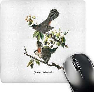 3D Rose "Gray Catbird by John James Audubon" Matte Finish Mouse Pad - 8 x 8" - mp_114036_1