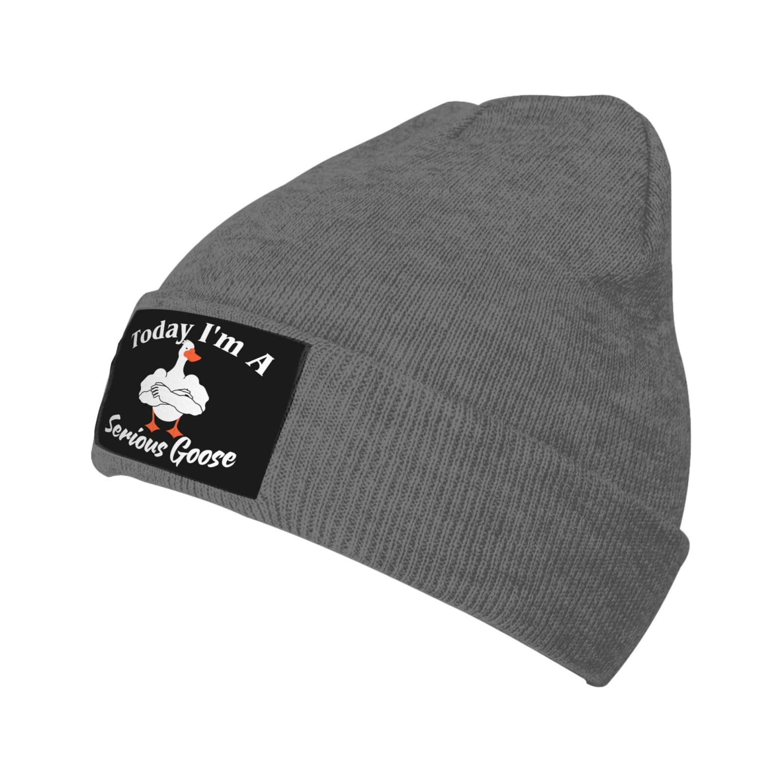 Today I'm A Serious Goose Funny Beanie Cap Knit hat Deep Grey