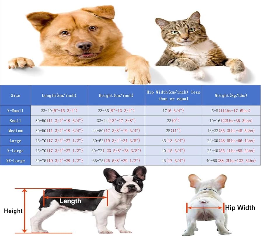 Amazon.co.jp: 犬 車椅子 前足をサポートする4輪犬用車椅子