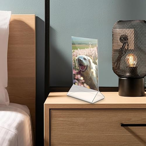 Miniatura 7 de Thyle Paquete de 12 marcos de fotos de acrílico transparente de 3.5 x 5 pulgadas, doble cara, soporte para letreros de plástico, soportes de menú