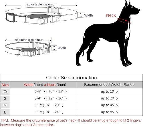 Miniatura 5 de Plutus Pet Collar Martingala reflectante con hebilla, collar de entrenamiento duradero y ajustable para perros pequeños, medianos y grandes, azul