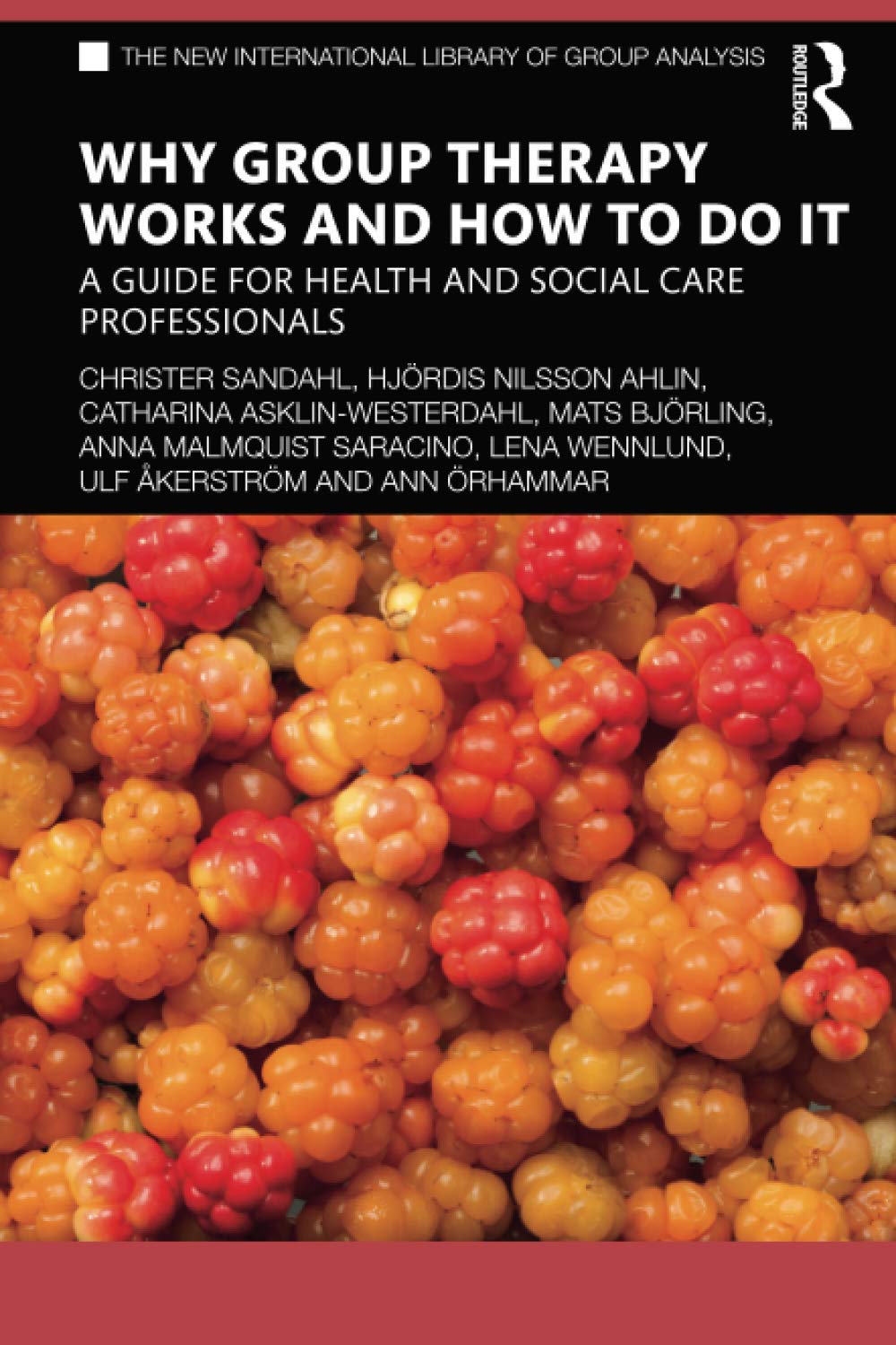 Why Group Therapy Works and How to Do It: A Guide for Health and Social Care Professionals (The New International Library of Group Analysis)