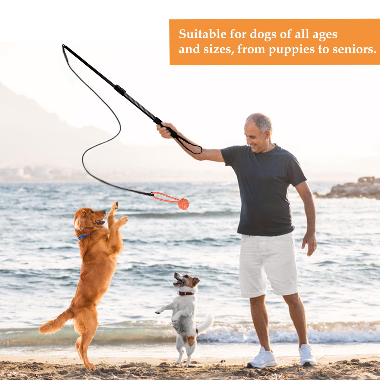 Abbylike Flirtstange Für Hunde – Mit 6 Spielzeugen, 88,9 Cm, Für Drinnen & Draußen