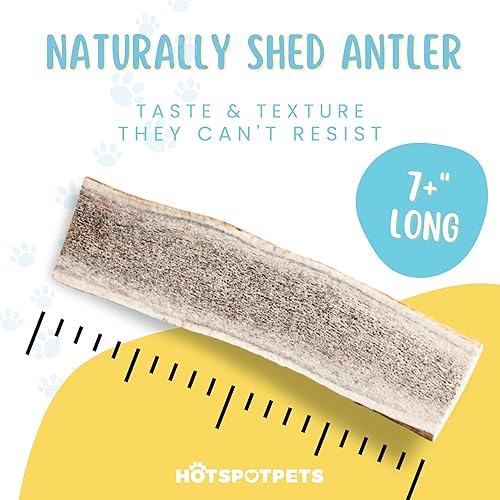 Miniatura 3 de hotspot pets Cuernos de alce partidos de alta calidad para perros, masticables grandes de 7 pulgadas (paquete de 2) de forma natural para