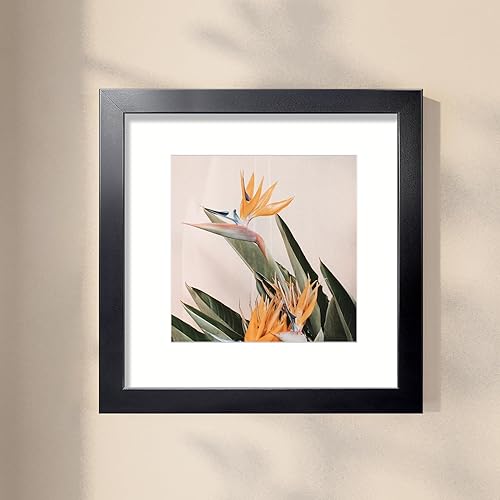 Vista 384 de LaVie Home - Portarretratos de 18 x 24 pulgadas, fotos de 16 x 20 pulgadas con paspartú, de 18 x 24 pulgadas sin paspartú, plexiglás pulido, Negro