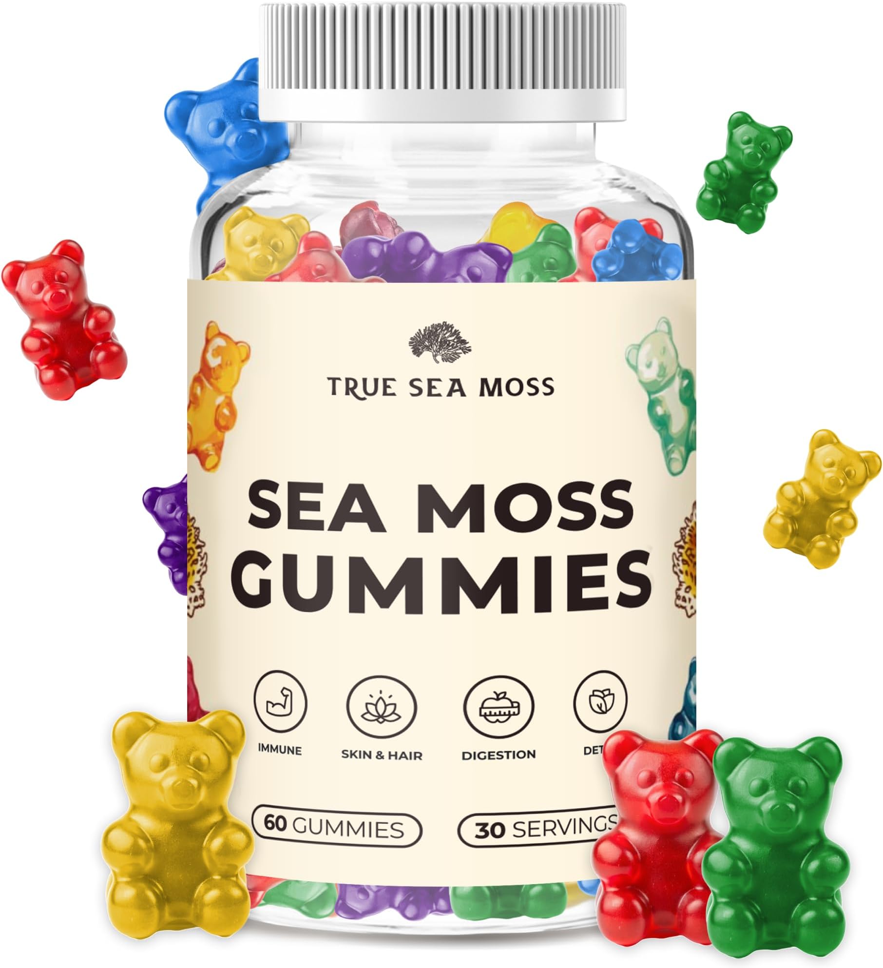 Amazon.com: Beary Fine Sea Moss Gummies & Elderberry - Vitamin C + Zinc ...