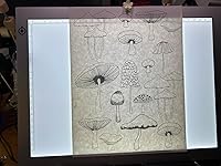 Review Image by Anony Mouse Anony Mouse