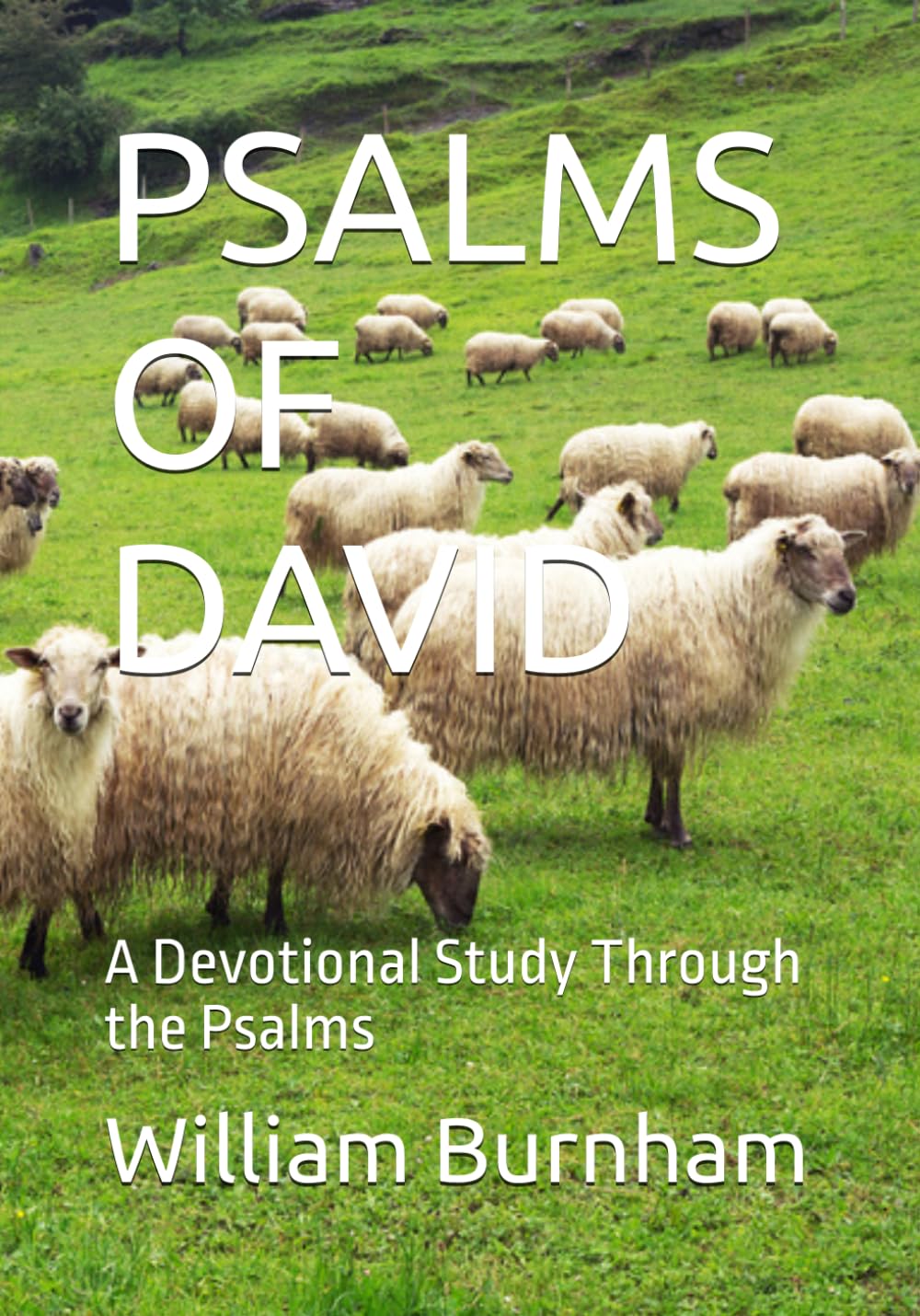 PSALMS OF DAVID: A Devotional Study Through the Psalms