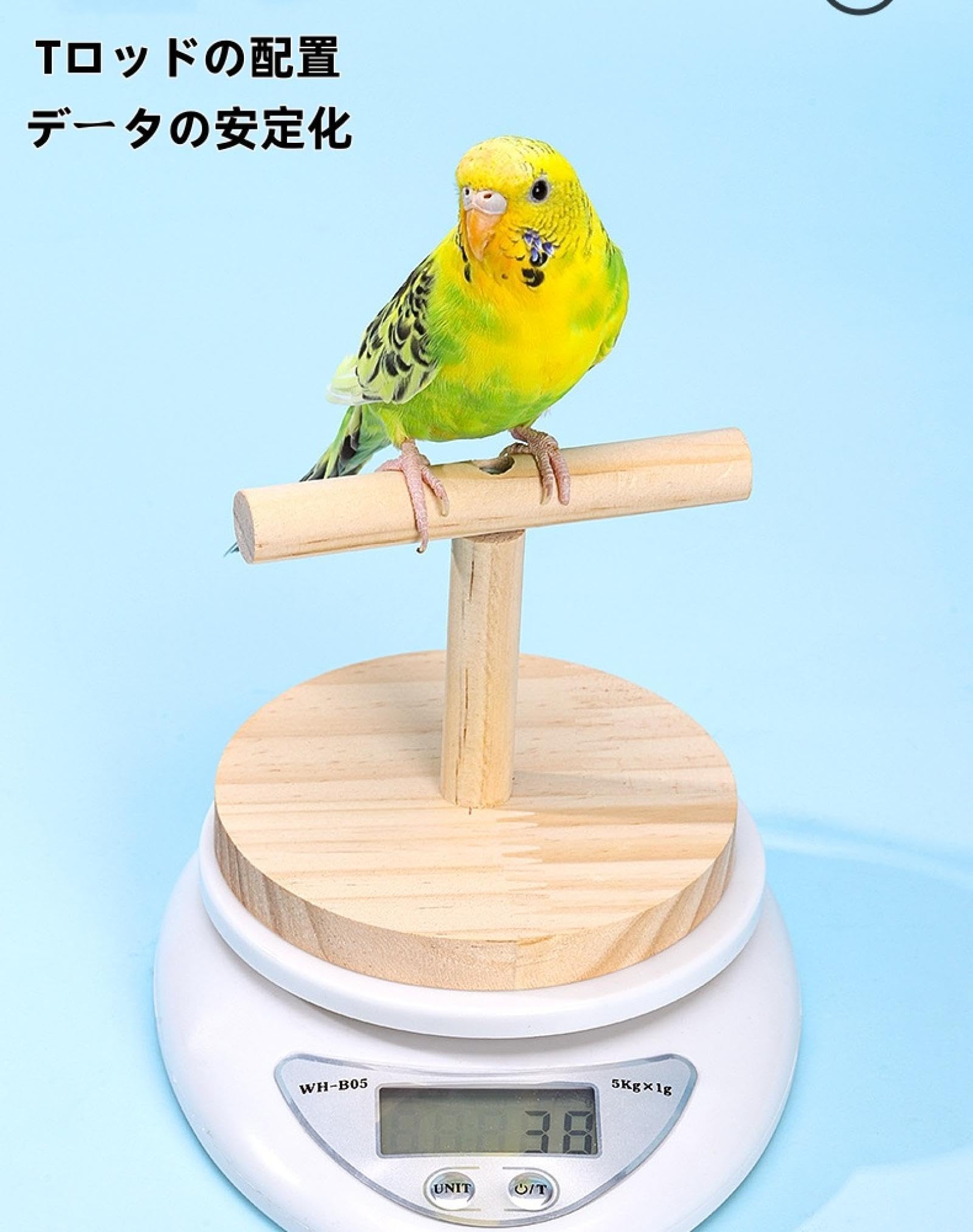 Amazon.co.jp: 【0.1g-5000g】インコ 小鳥の体重計 スケール+止まり木