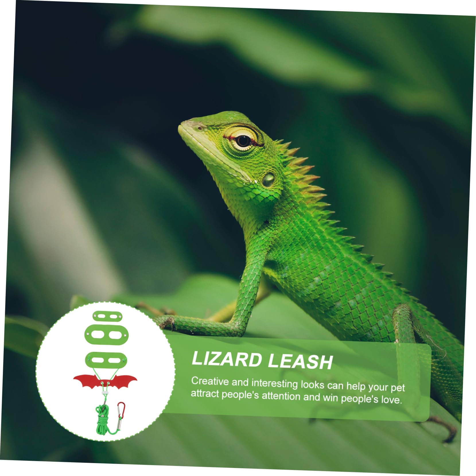 COLLBATH Pet Leash Set for with Cool Wings Adorable Bearded Dragon Costume Durable Crawling Harness and Leash for Reptiles for Daily Walks and Parties