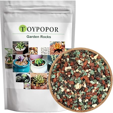 2lb Horticultural Lava Rocks Bonsai Succulent Cactus Potting Soil Mix Planter Drainage Volcanic Stones Air Plant Terrarium Pumice Tiny Gravel Pebbles for Vase Fillers, Fairy Gardening,Top Dressing