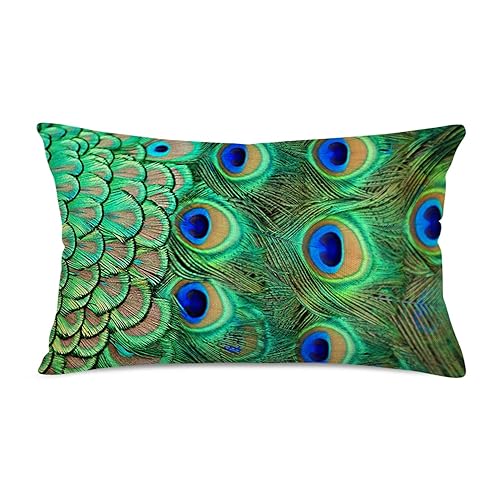Asminifor Peacock Feather Pillow Covers Green Beautiful Elegant Feather Zippered