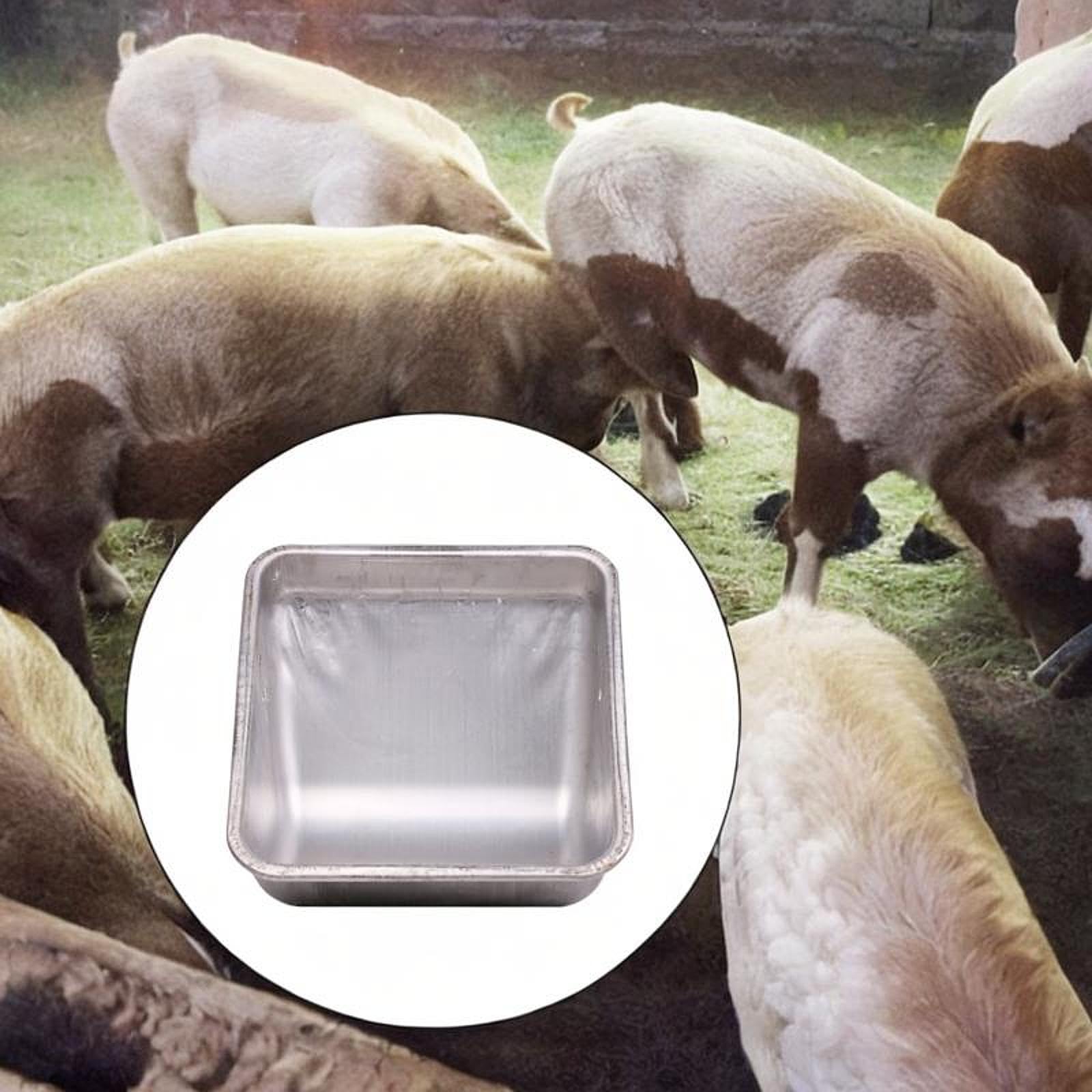 Comedero para Cerdos de Acero Inoxidable con Diseño de Doble Fijación Y Distribución Eficiente Recipiente para Alimentación de Cerdas Fácil de Limpiar, Regular Grueso