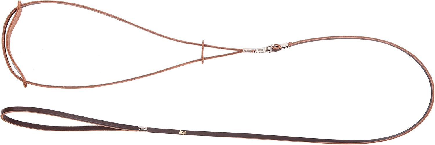 Dingo Smart Fashion for Champion, Leather Show Leash, Brown Lead for Exhibition and Dog Ring Show 10706
