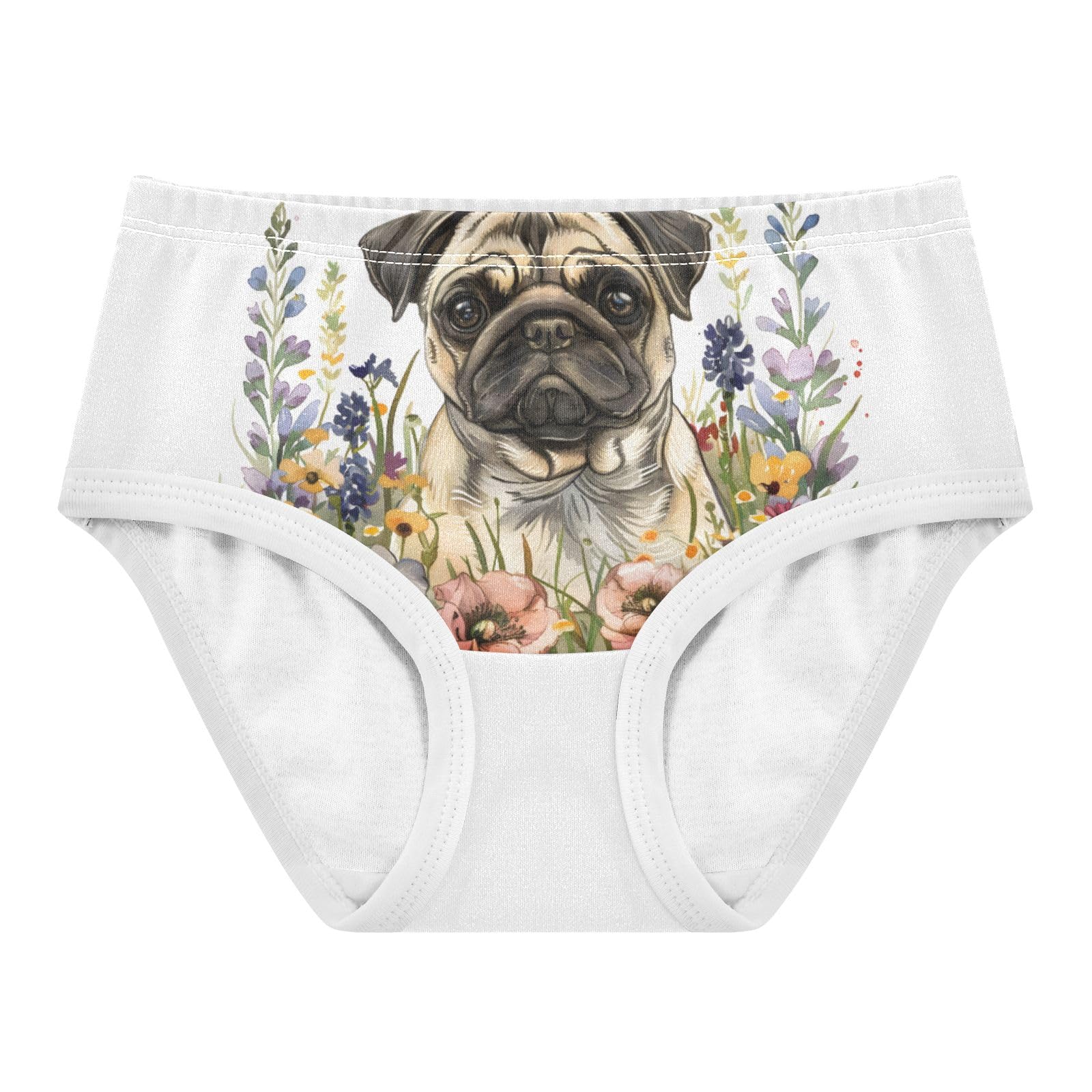 ALAZA Toddler Girls Cotton Hipster Underwear Soft Pug Wild Flowers 2 Pack 2T