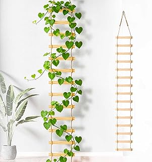 Wooden Ladder Plant Trellis for Climbing Plants 6ft Extra Tall Indoor & ...