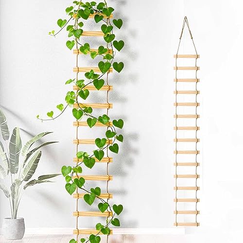Wooden Ladder Plant Trellis for Climbing Plants 6ft Extra Tall