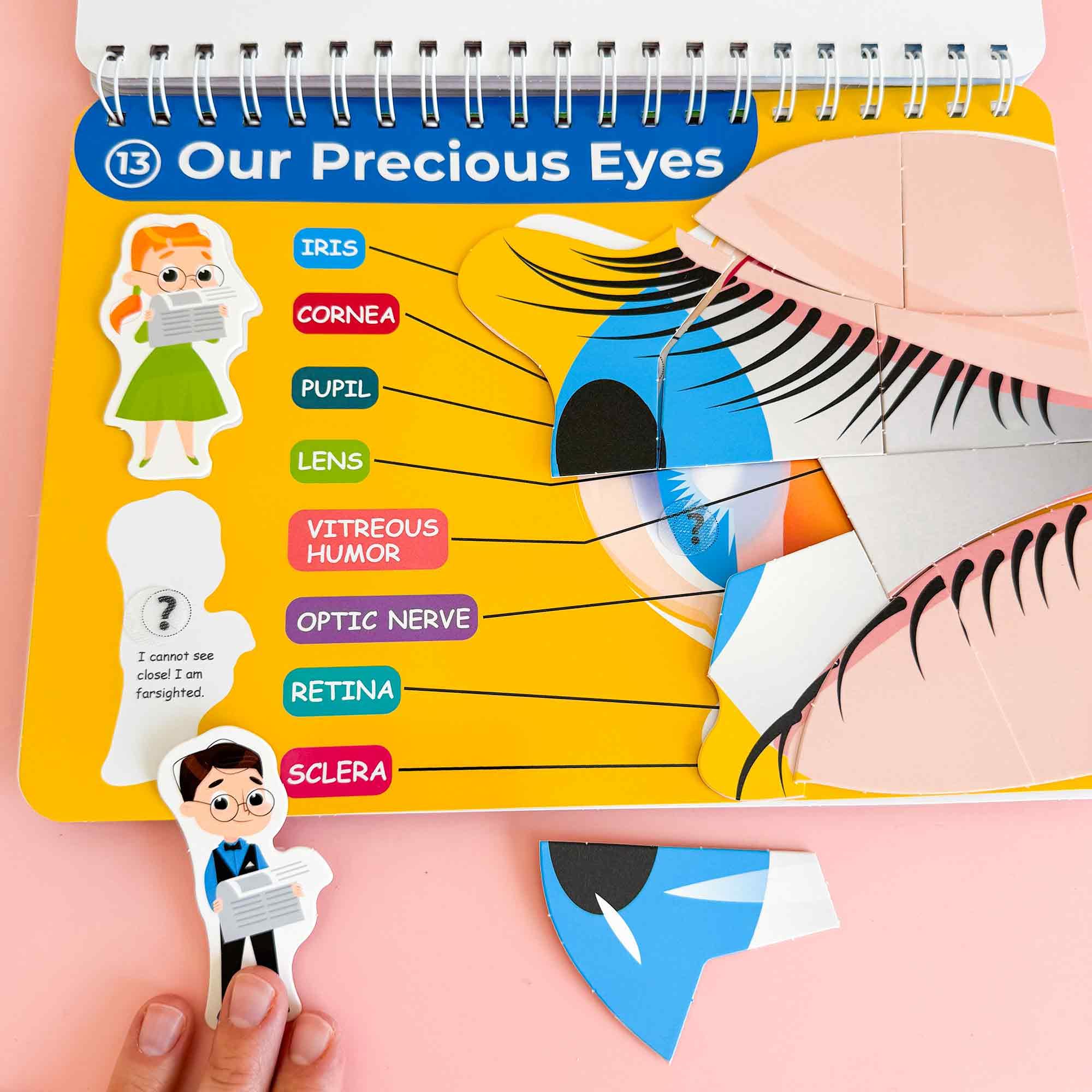 QUOKKA Busy Board Montessori 1 2 Año - Versión Inglés - Libro Sensorial Bebe con 15 Temas sobre el Cuerpo Humano - Busy Book Juegos Montessori 3 4 Años - Regalo Educativo para Niños y Niñas