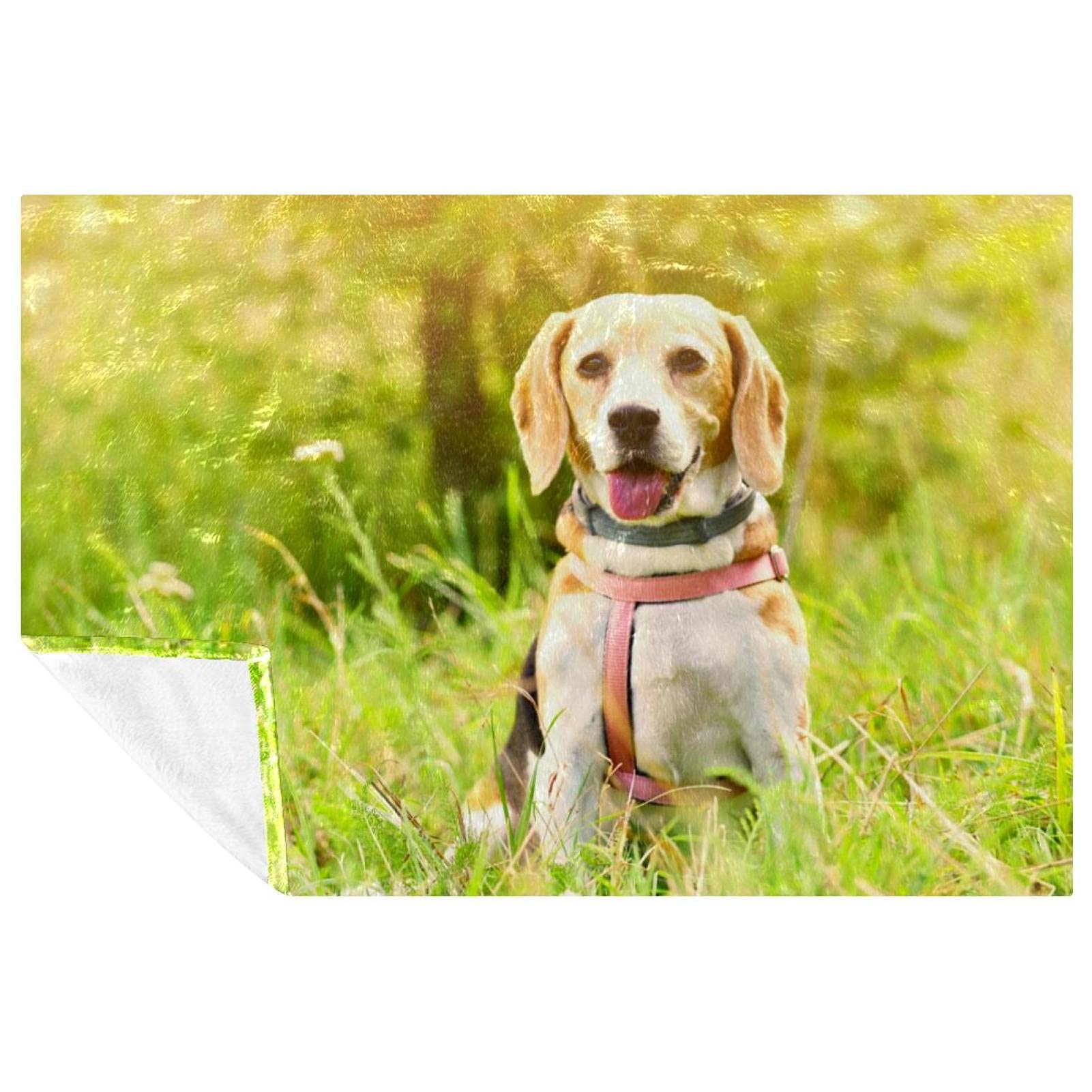Couverture douce imprimé chien pour des moments cocooning chaleureux sur le canapé