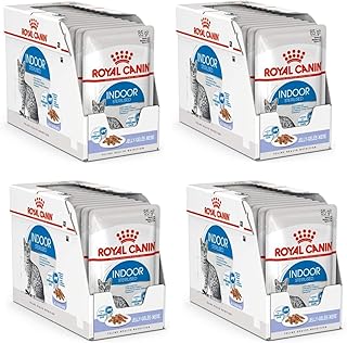 Royal Canin Indoor Sterilised in Gelee | 4er Pack | 4 x 12 x 85 g | Alleinfuttermittel für ausgewachsene Katzen die im Haus Leben | Für sterilisierte Katzen | Häppchen in Gelee product image