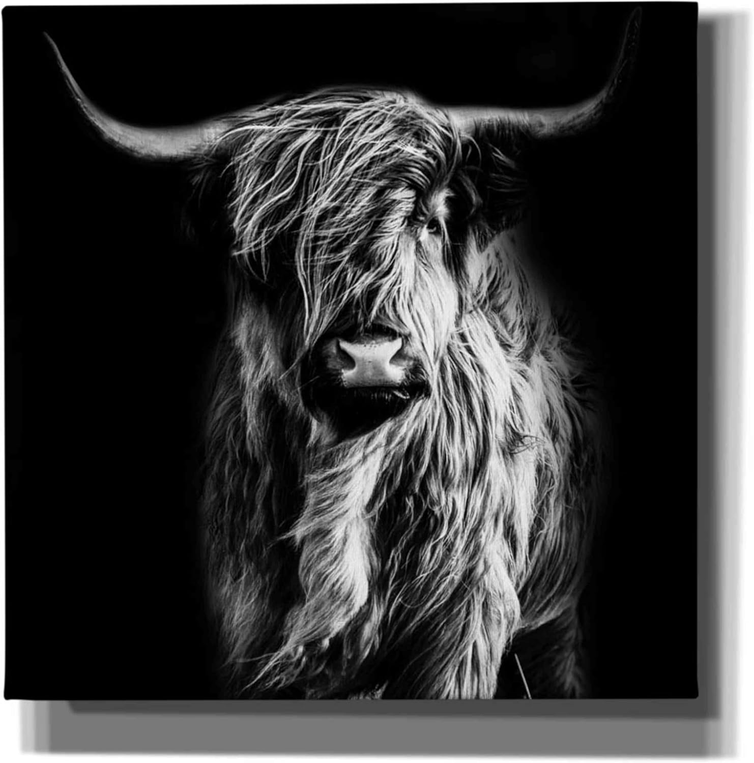 Epic Graffiti 'Hippy Highland Cow' by Epic Portfolio Giclee Canvas Wall Art, 12"x12"