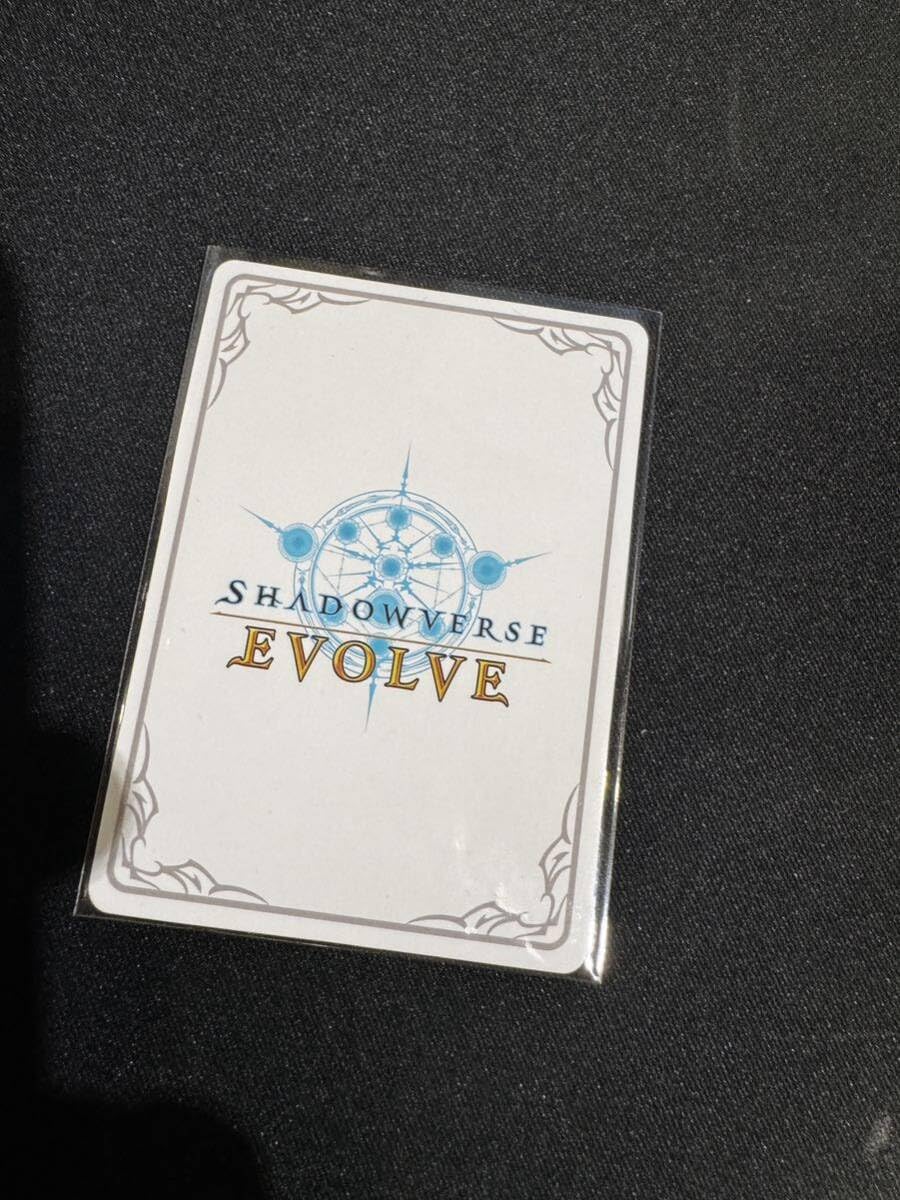 Amazon.co.jp: シャドウバース エボルヴ/8弾/次元混沌/リーダーカード