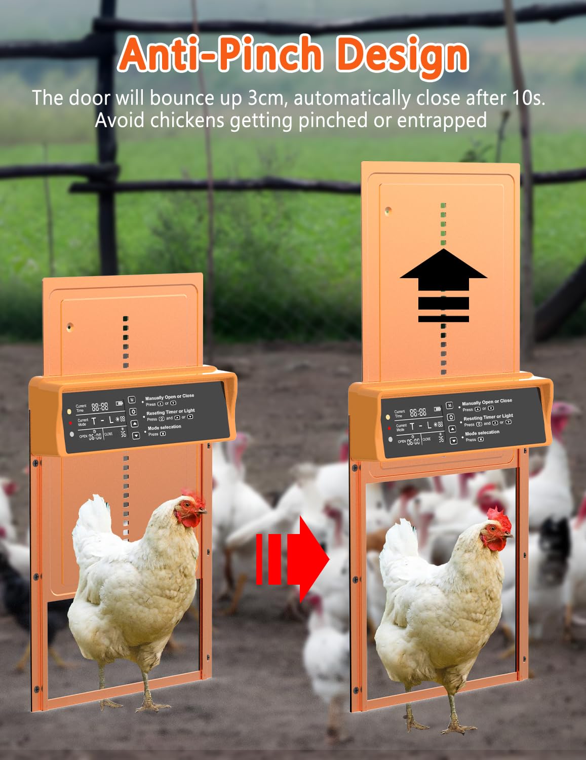 Porta automatica per pollaio a energia solare, display LCD, porta per pollo in lega di alluminio resistente con timer e sensore di luce, telecomando, resistente alle intemperie, risparmio energetico,