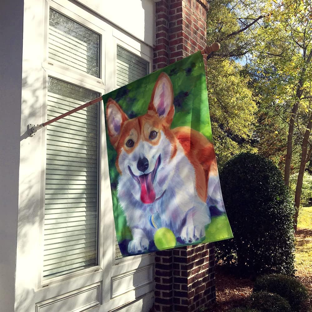 Caroline's Treasures 7296CHF Corgi with green ball House Flag Large Porch Sleeve Pole Decorative Outside Yard Banner Artwork Wall Hanging, Polyester, House Size, Multicolor