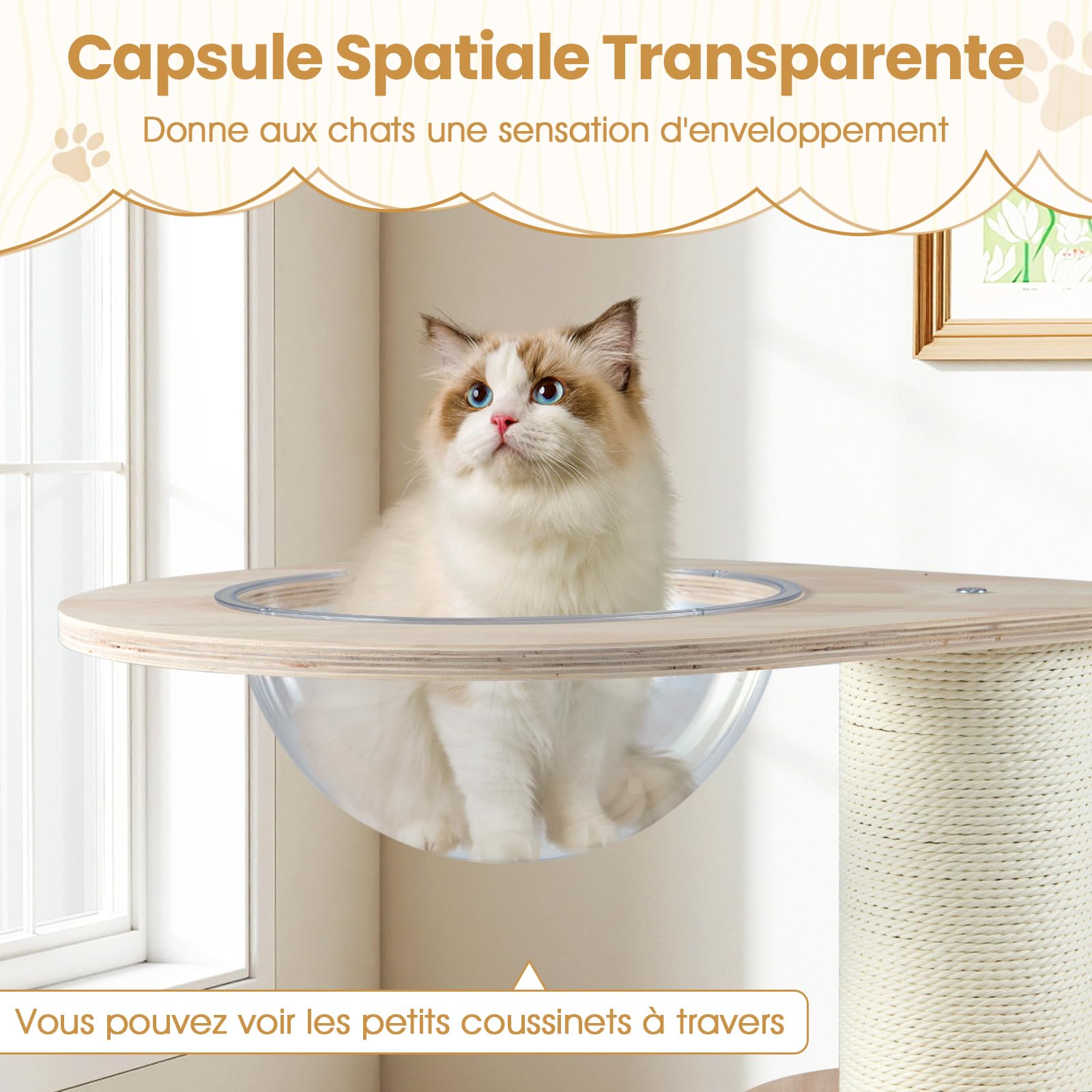 COSTWAY Petit Arbre à Chat Bois 73 cm, Condo, Capsule, Circuit à Billes pour Chat en Bois avec 4 Balles, 2 Poteaux à Griffer, Arbre a Chat Design, Coussin Amovible Lavable, Pompon Suspendu